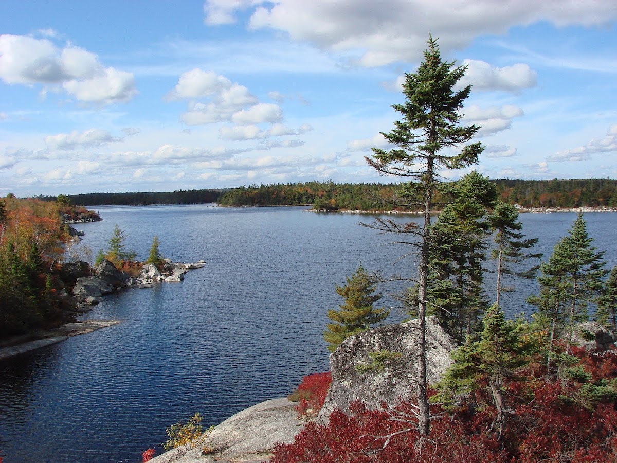 Blue Mountain - Birch Cove Lakes Wilderness Area