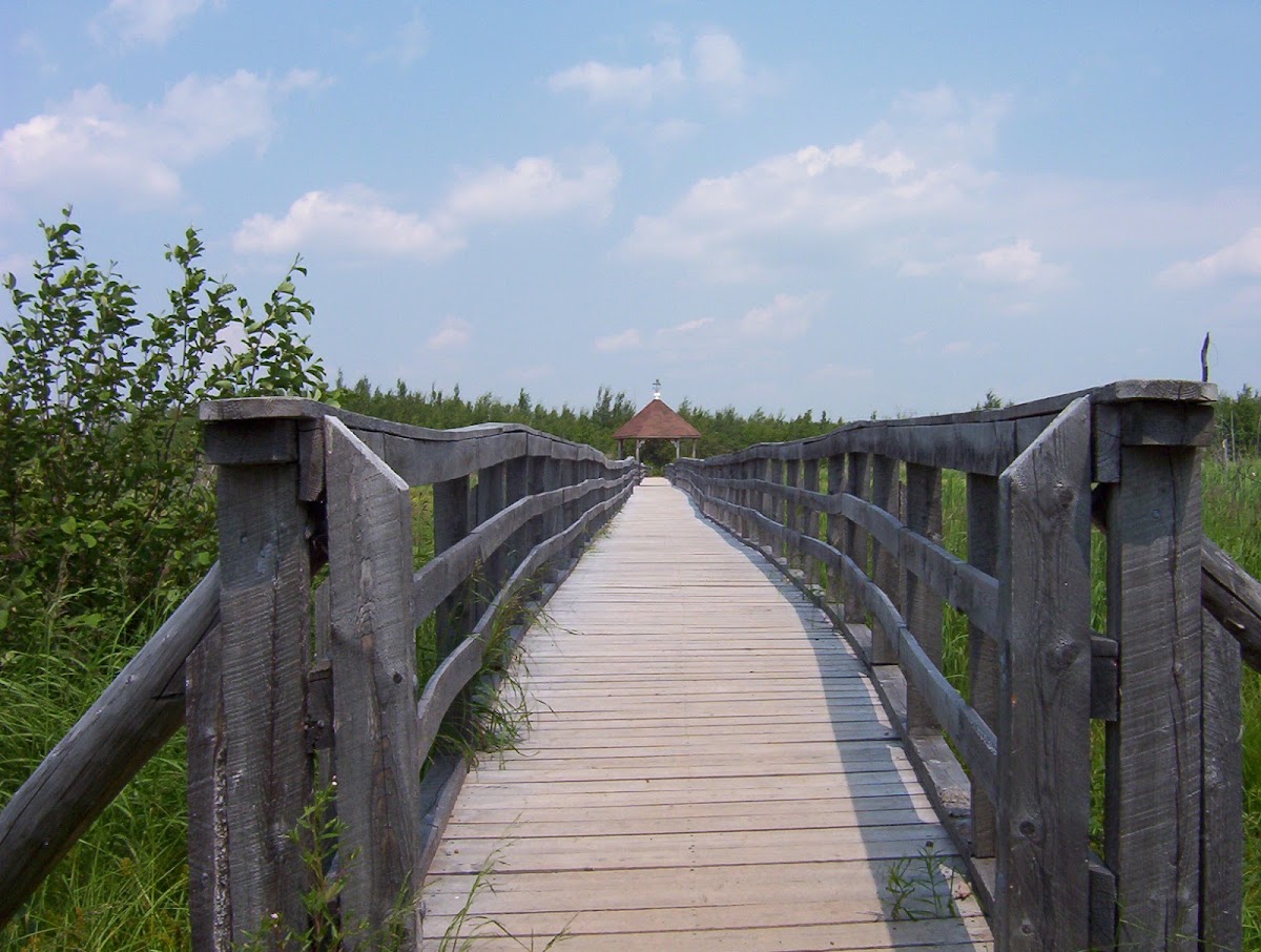 Corduroy Brook Nature Trail