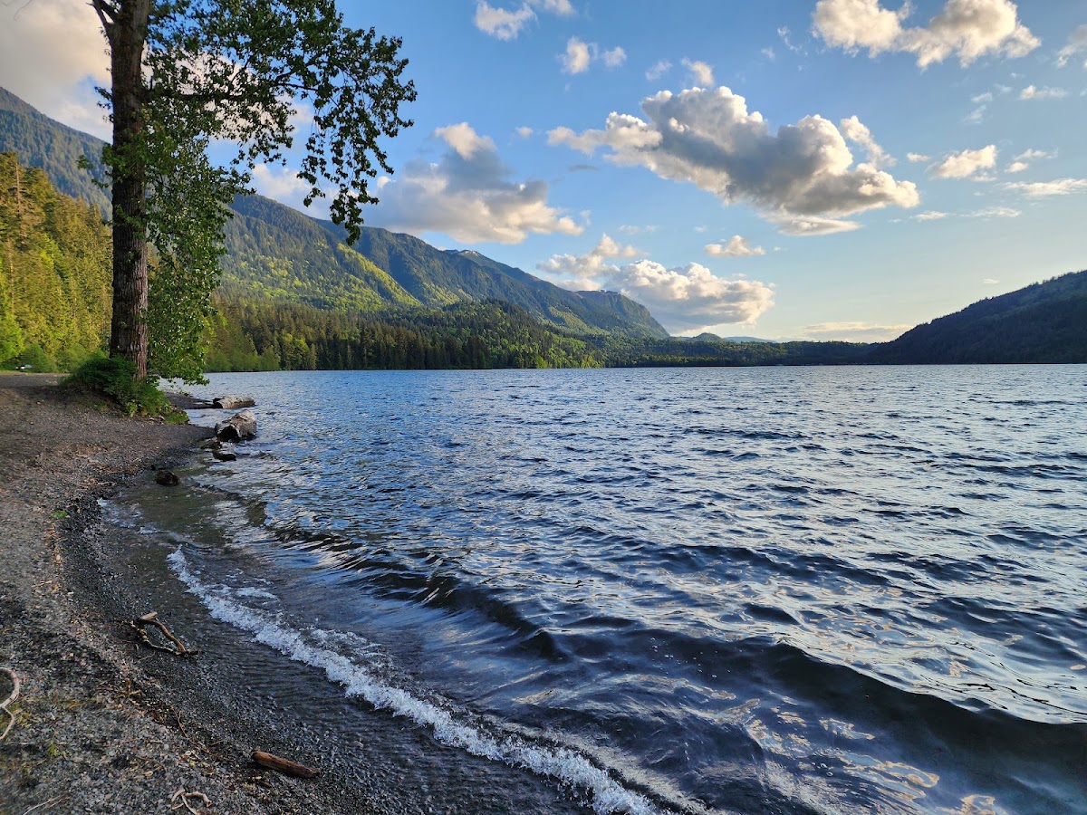 Entrance Bay Picnic Area — Cultus Lake Provincial Park