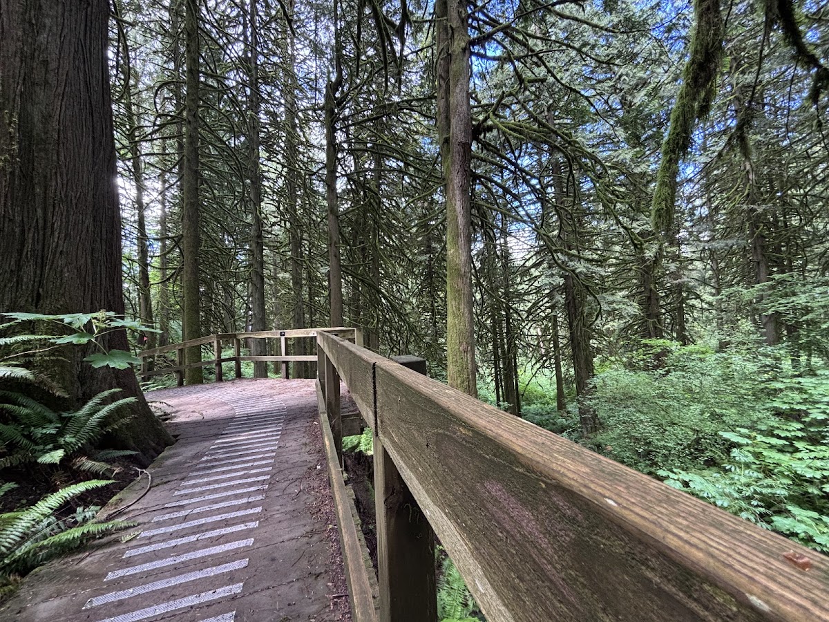 Chilliwack Community Forest