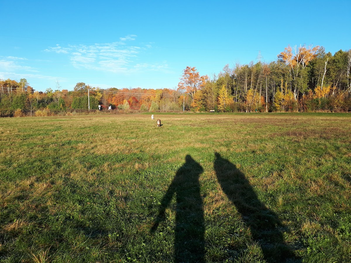 Aylmer Off-Leash Dog Park