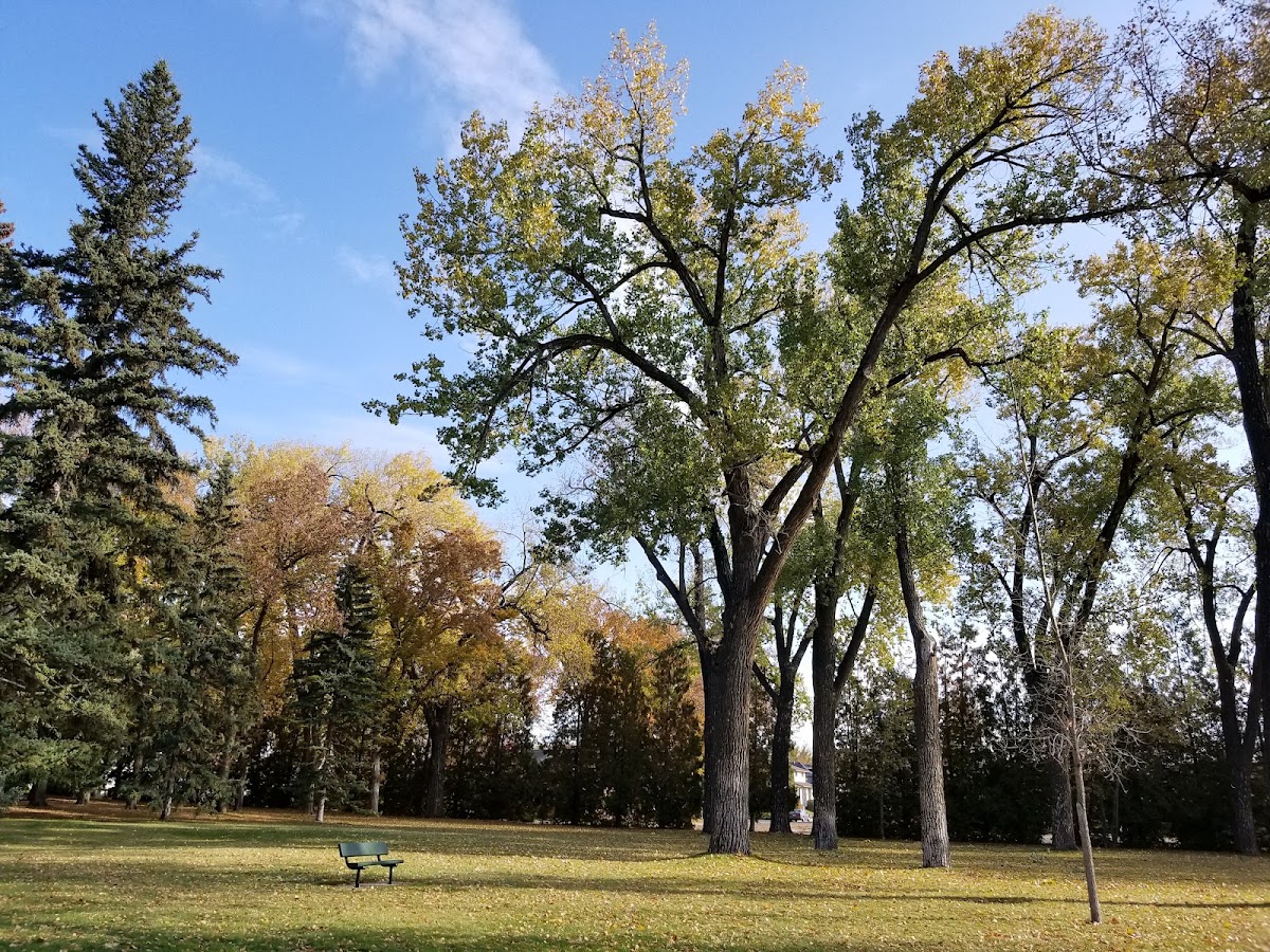 Central Park