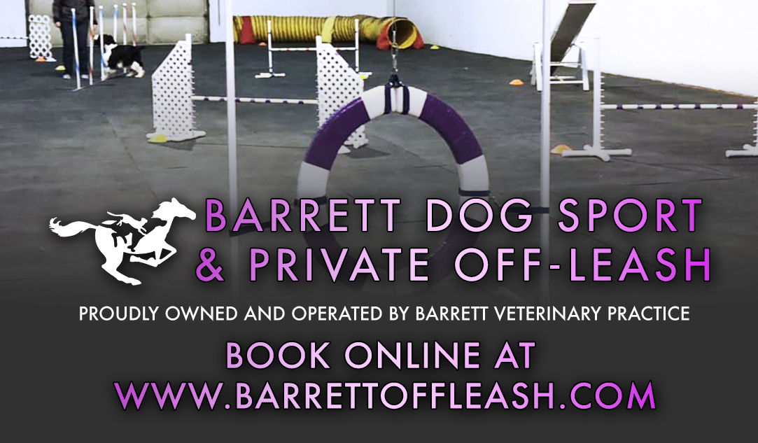 Barrett Off-Leash Area
