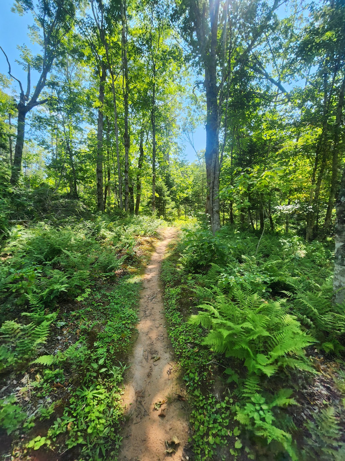 Bonshaw Provincial Park