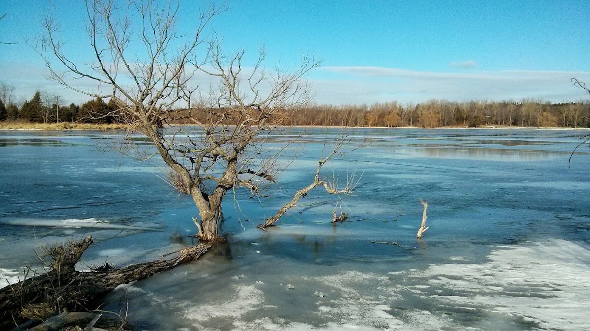 Oshawa Second Marsh