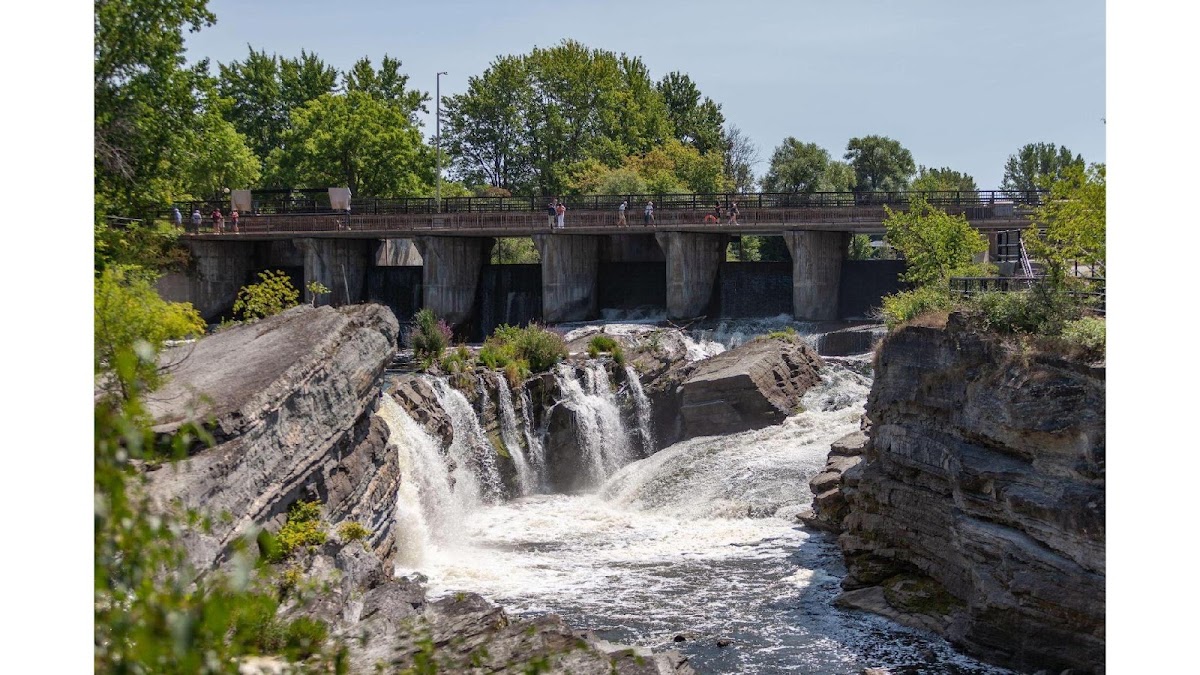 Hog's Back Park