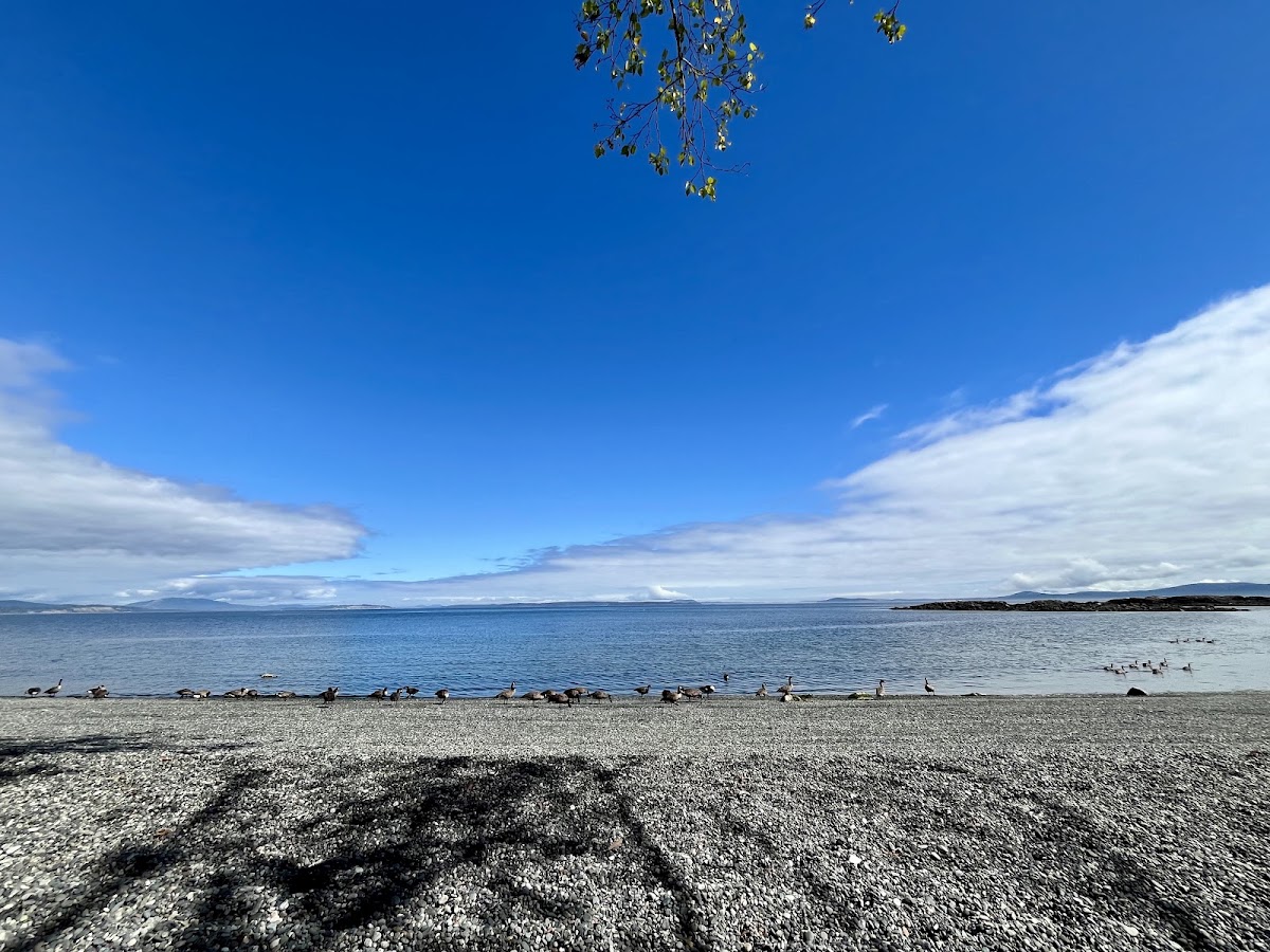 Balmacarra Park