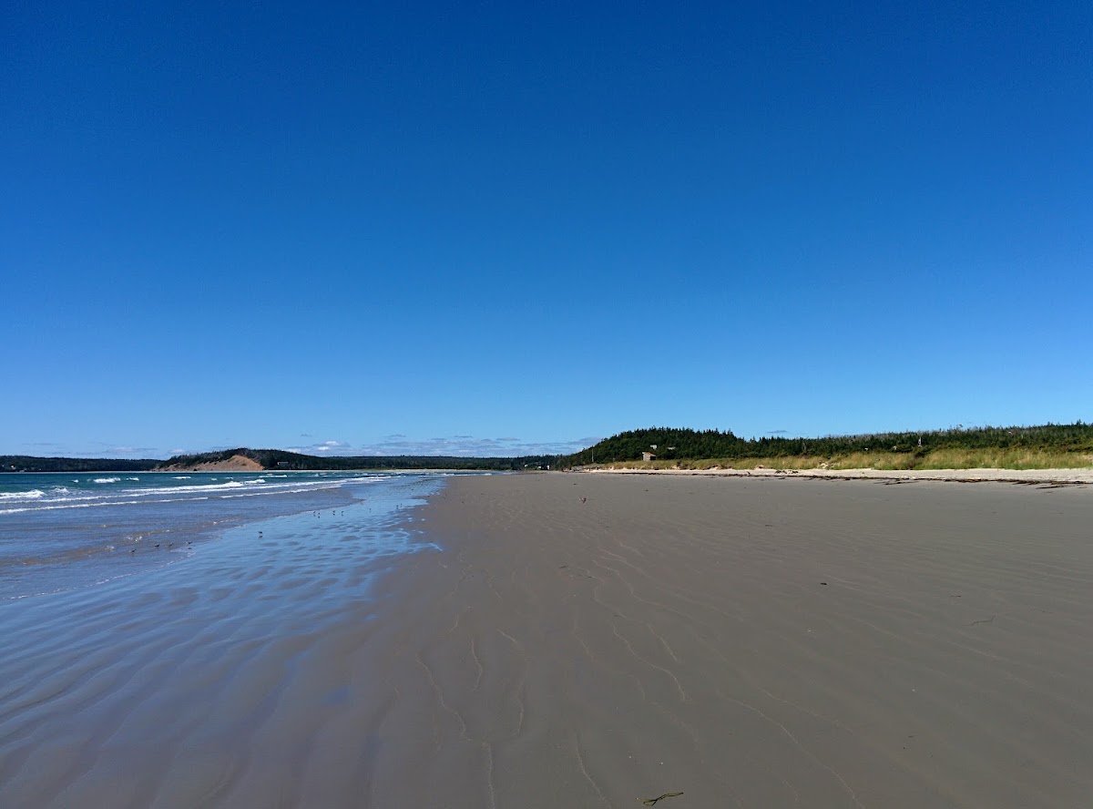 Clam Harbour Beach Provincial Park