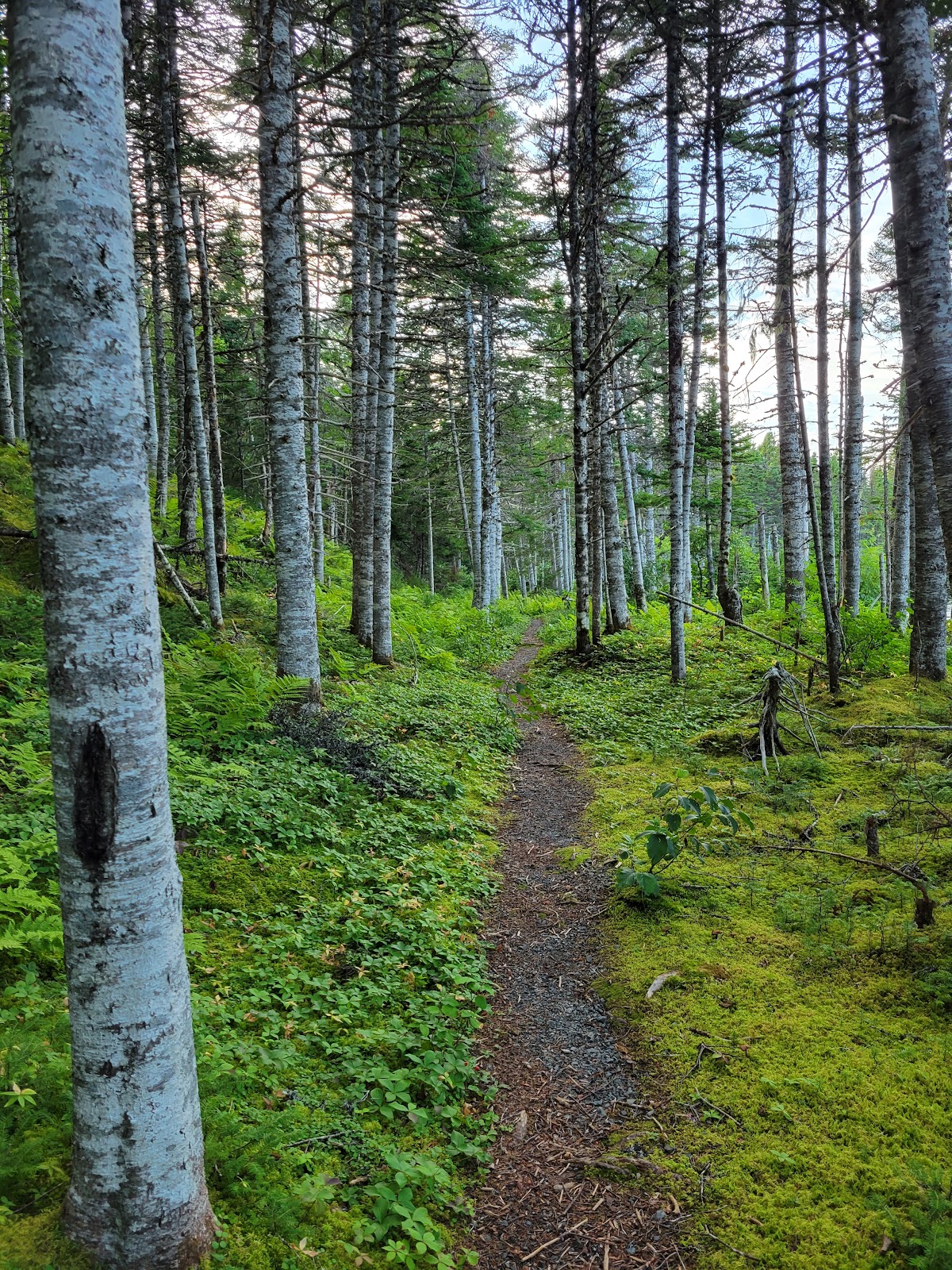 Lockston Path Provincial Park