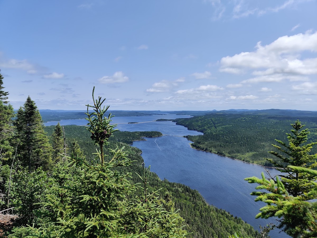 Terra Nova National Park