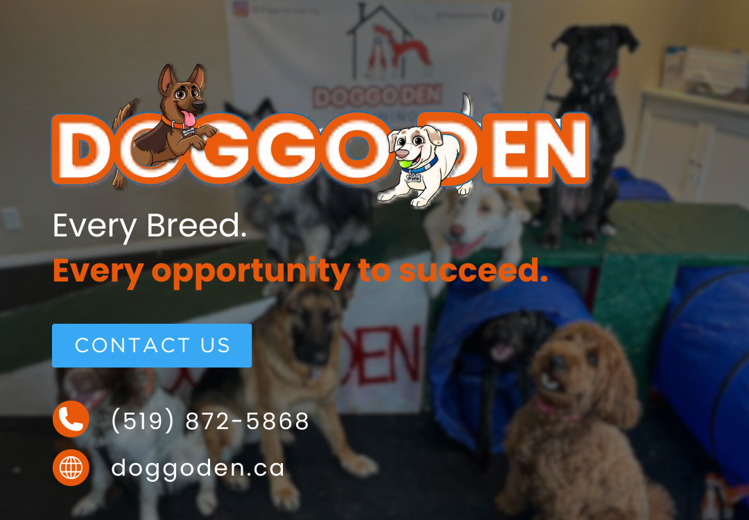 Doggo Den Resort