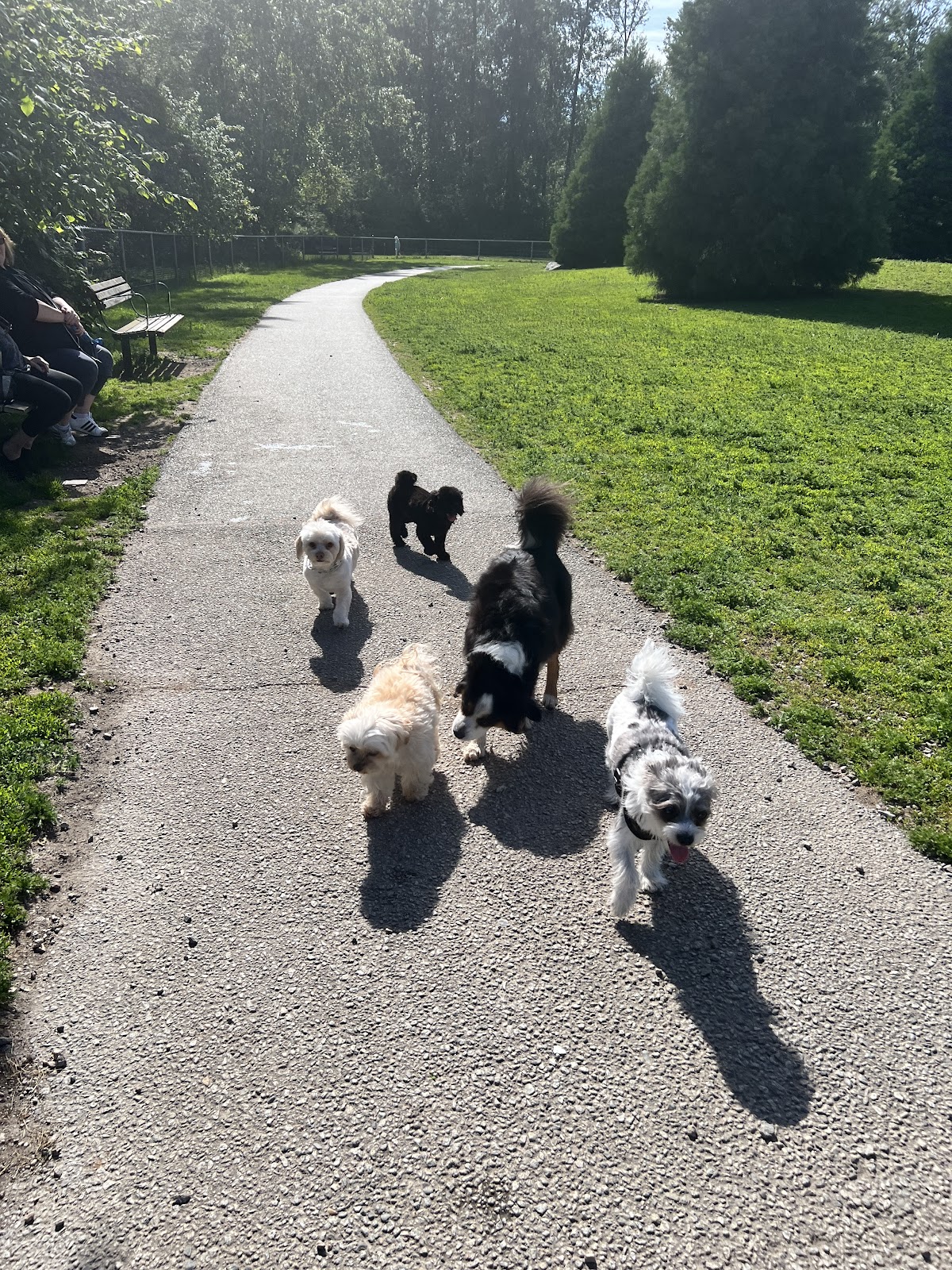 Clayton Dog Off-Leash Park