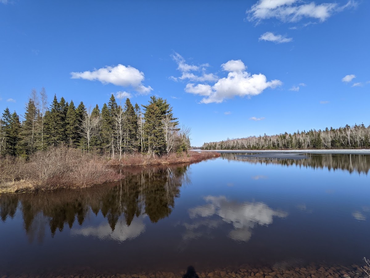 Irishtown Nature Park