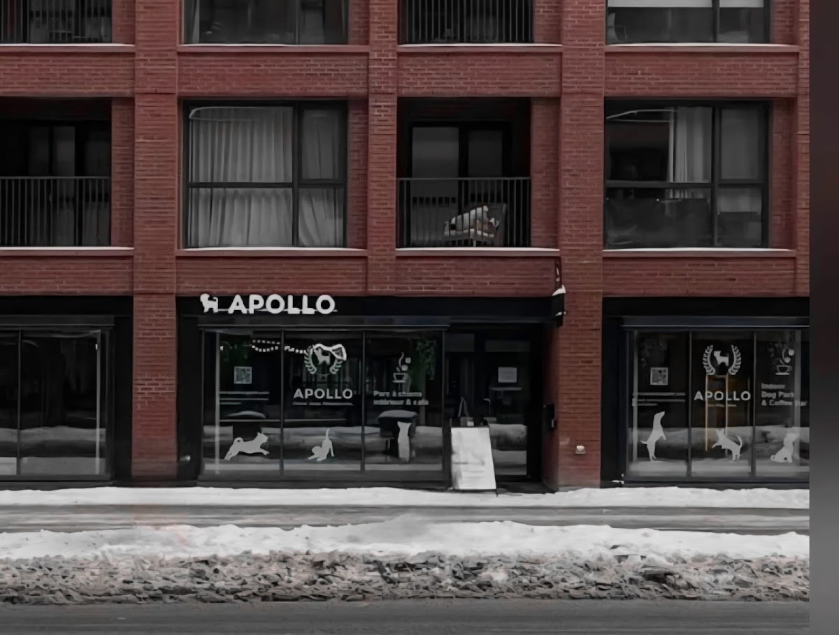 Apollo Indoor Dog Park | Coffee Shop | Co-Working Space