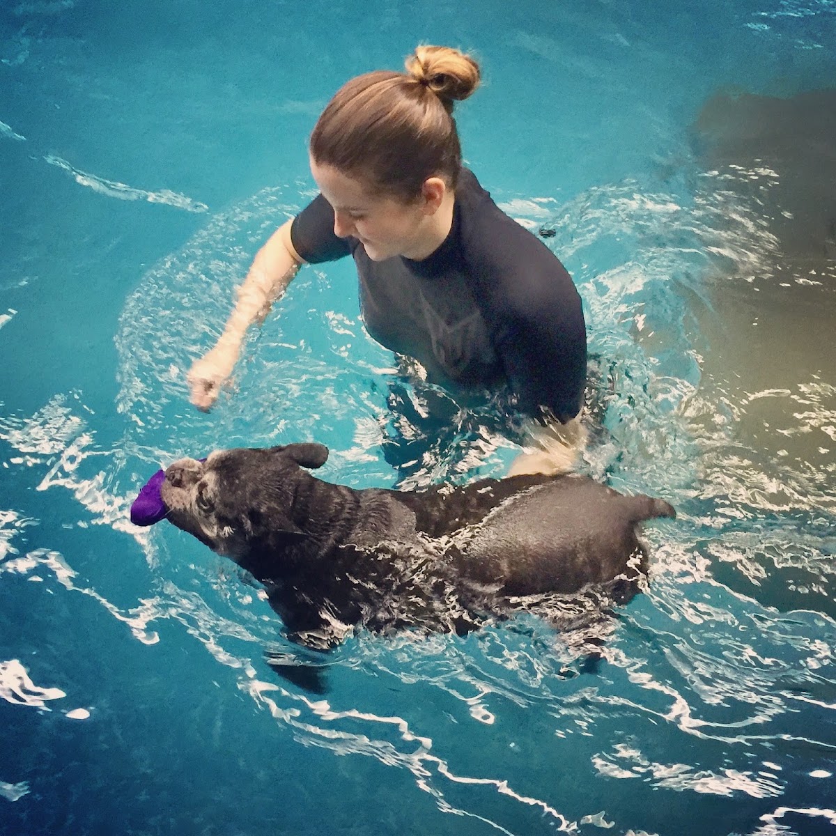 Aqua Paws Canine Wellness