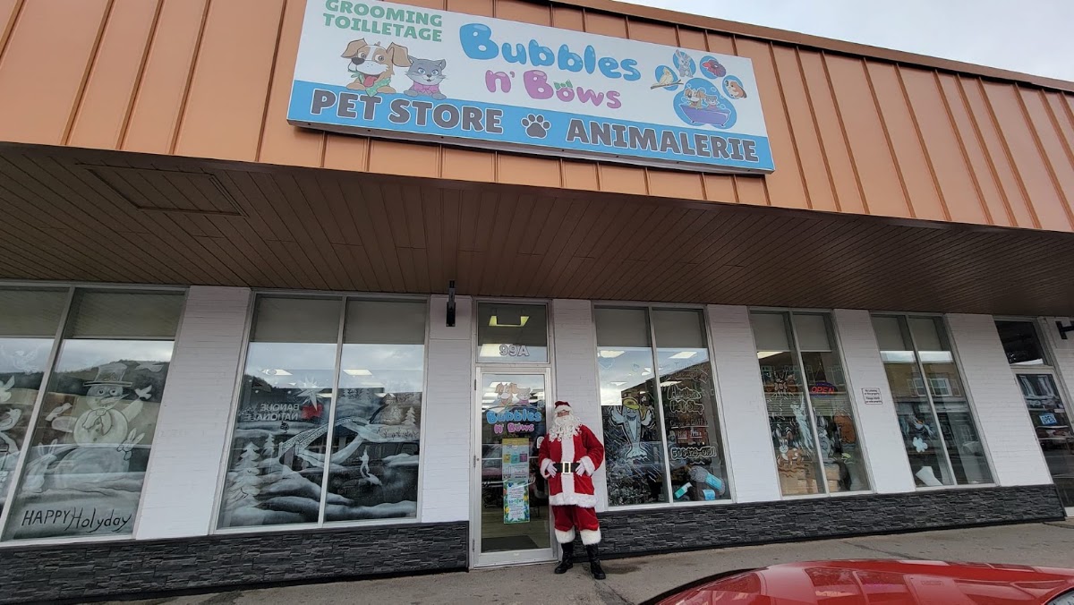 Bubbles n' Bows Pet Store and Grooming