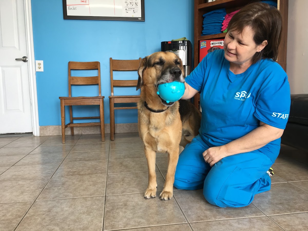 Cape Breton SPCA
