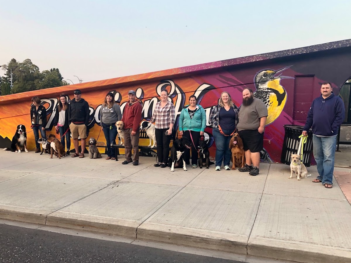 All Dogs Great & Small - Dog Daycare and Training
