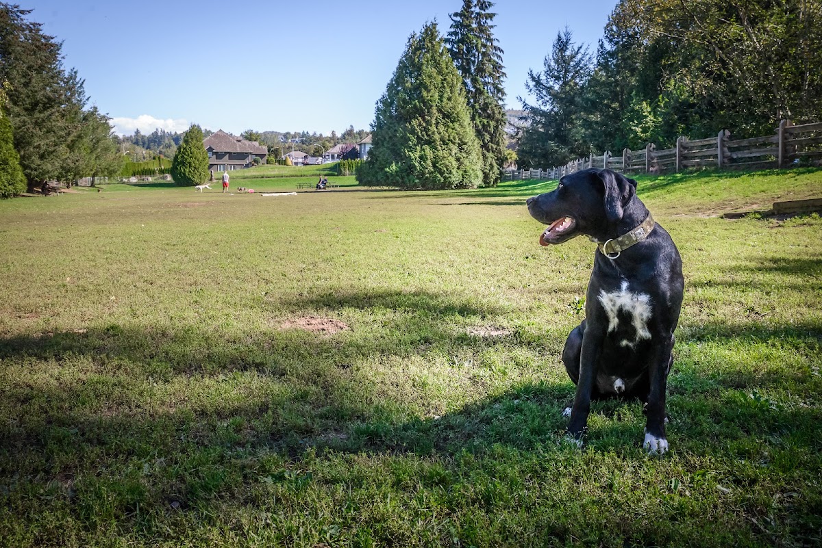 Dog Off Leash Park - Stoney Creek