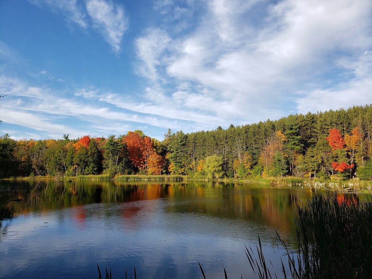 Huron Natural Area