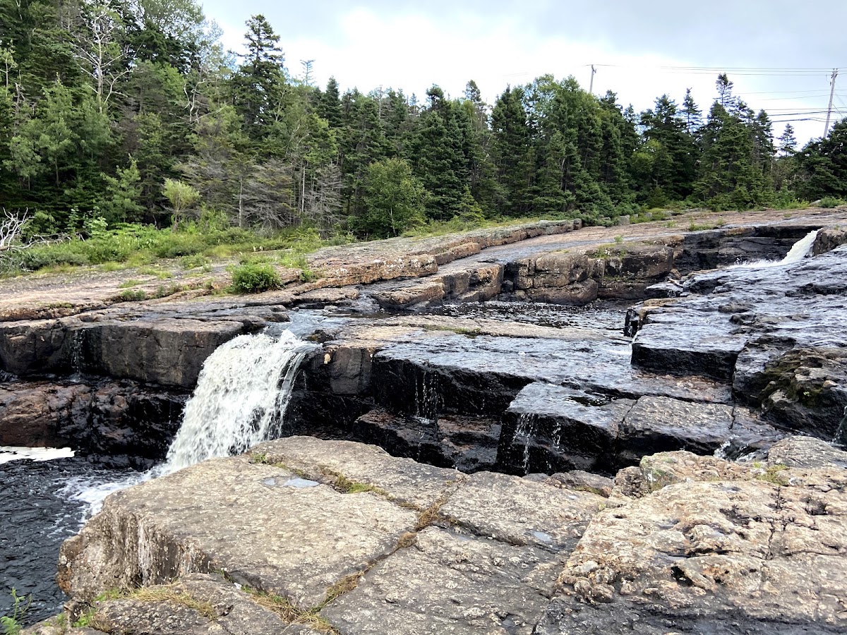 Discover Manuels River Trails