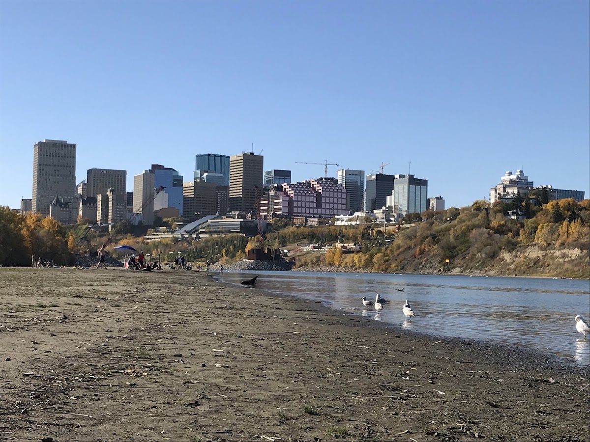 Accidental Beach