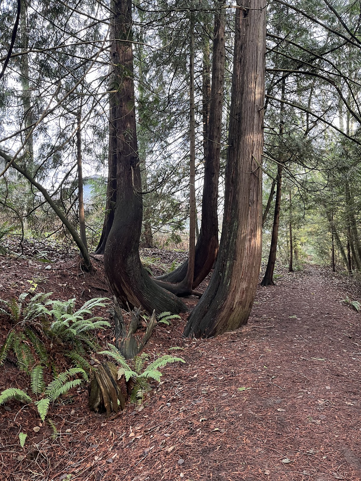 Cougar Canyon Environmental Reserve