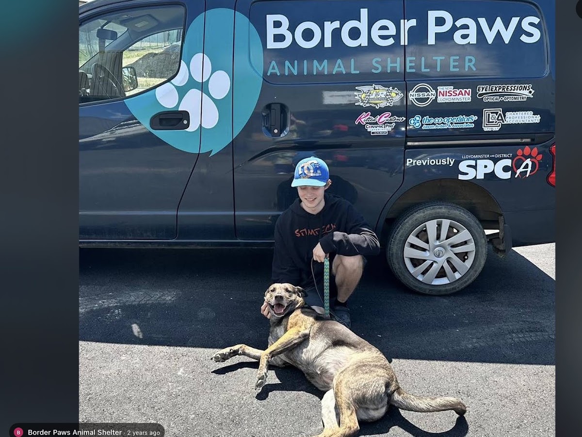 Border Paws Animal Shelter