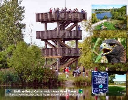 Holiday Beach Conservation Area