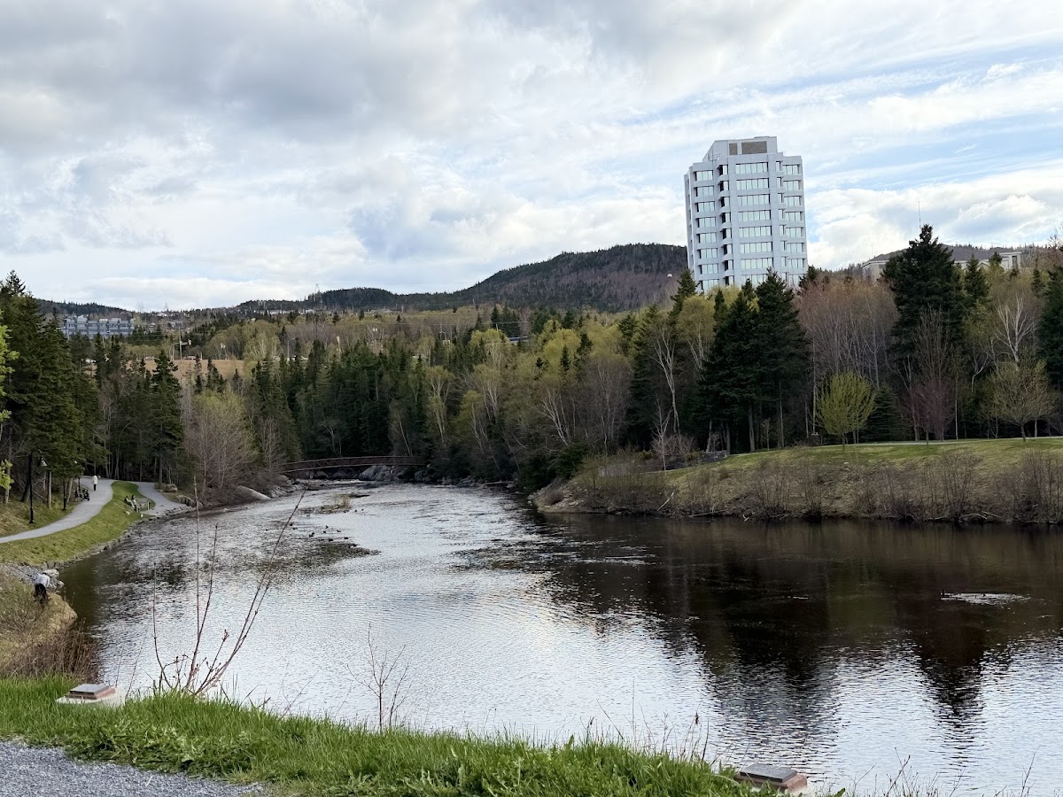 Corner Brook Stream Trail (Margaret Bowater Park entrance)