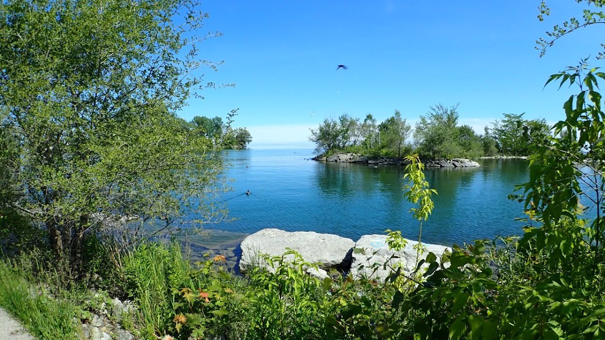 Humber Bay Park West Dog Park