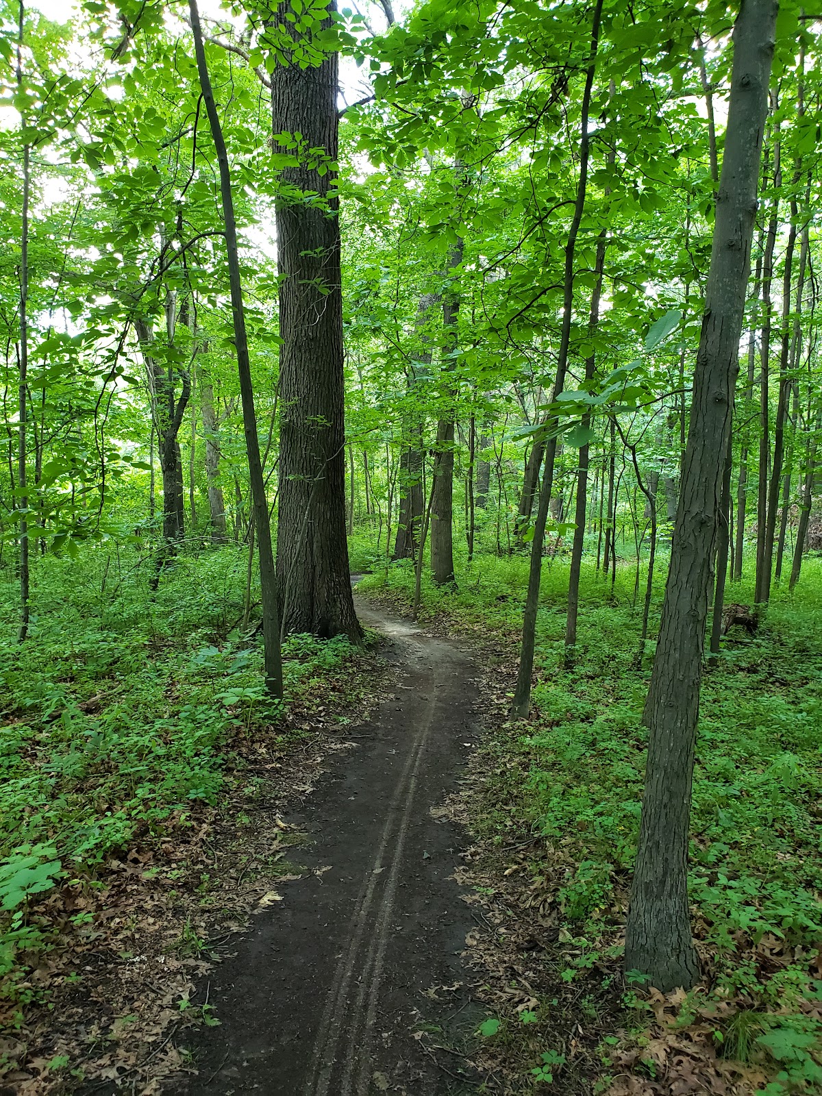 Black Oak Heritage Park