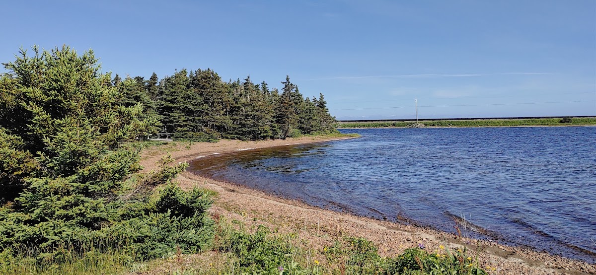 Frenchman's Cove Provincial Park