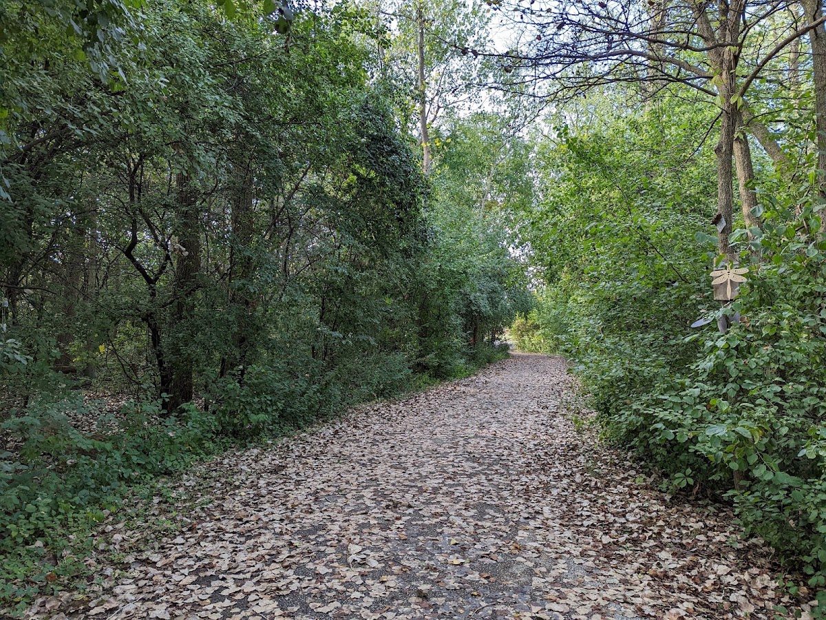 Elizabeth Kishkon Park