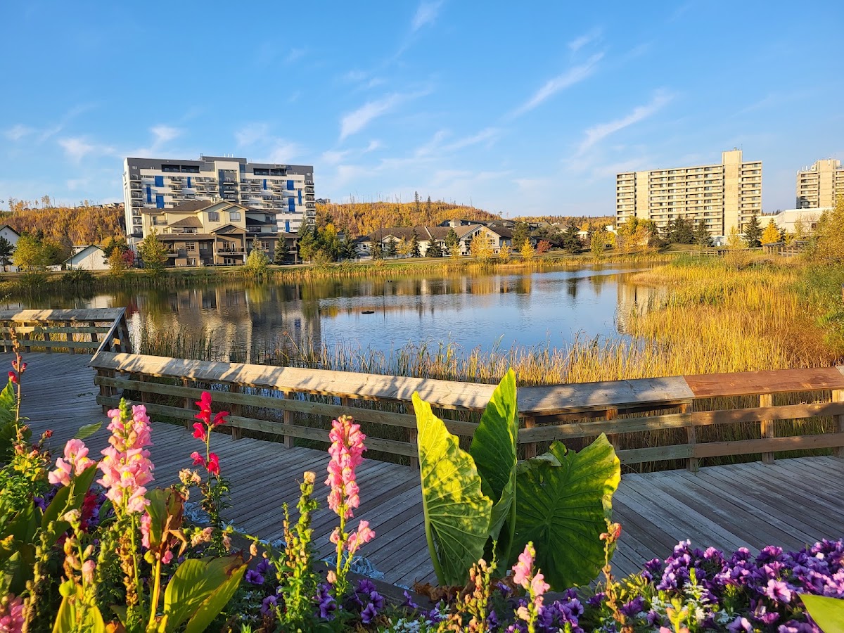 Borealis Park
