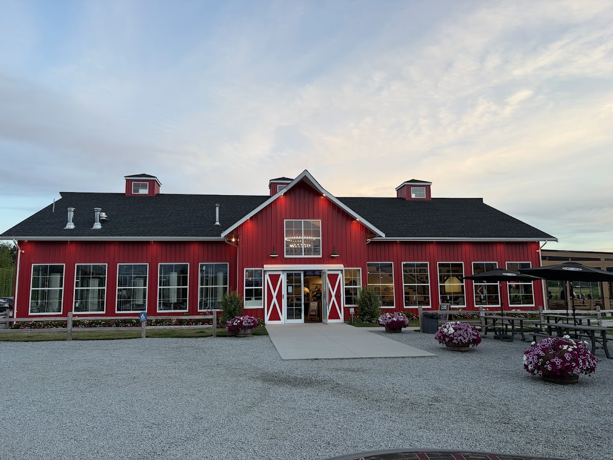 The Patch Brewery