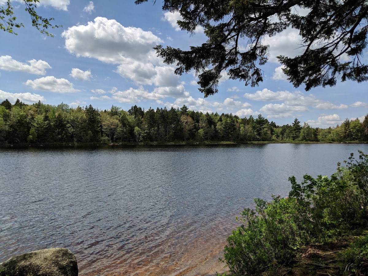 Falls Lake Provincial Park