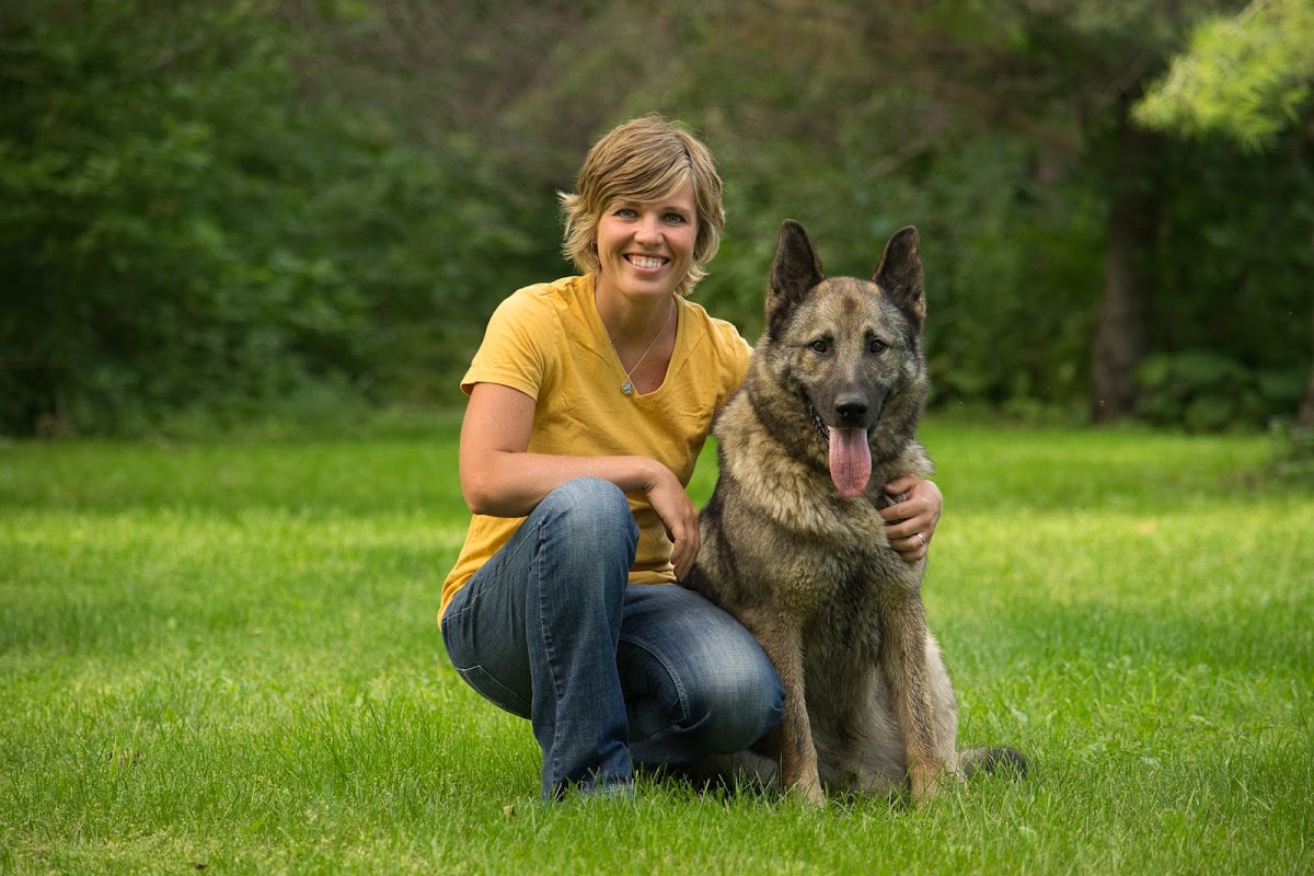 Calm Canine Dog Training