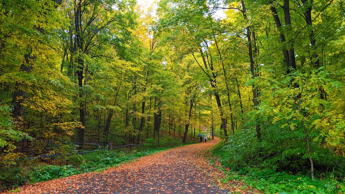 Purple Woods Conservation Area