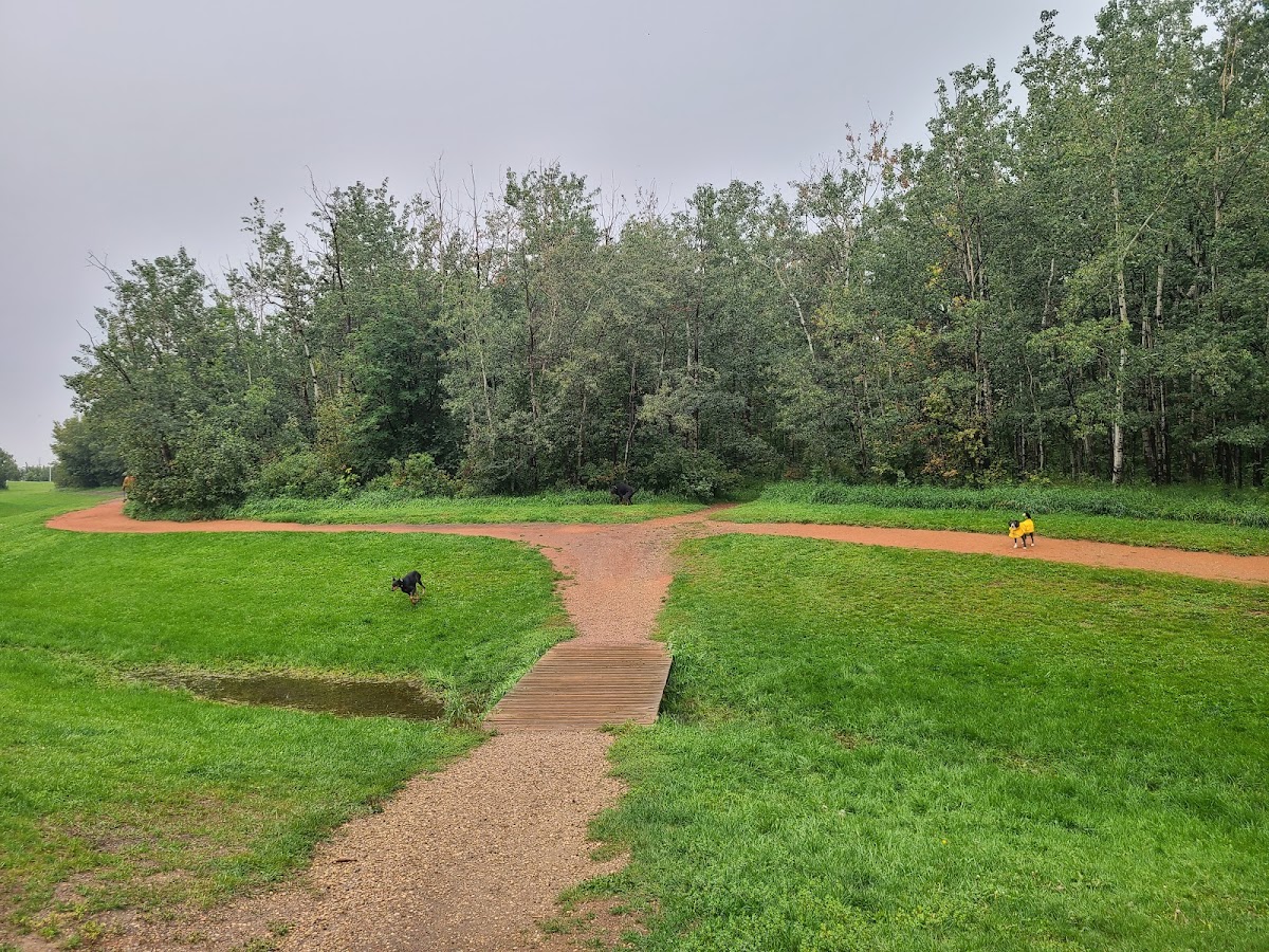 Callingwood Dog Park