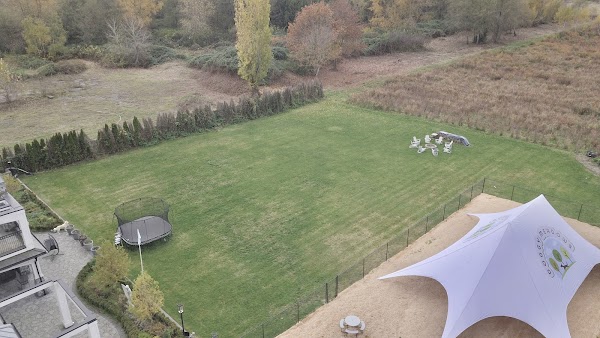 Doggy Meadows