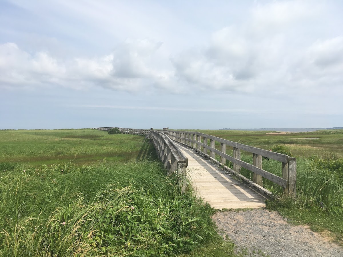Rushtons Beach Provincial Park