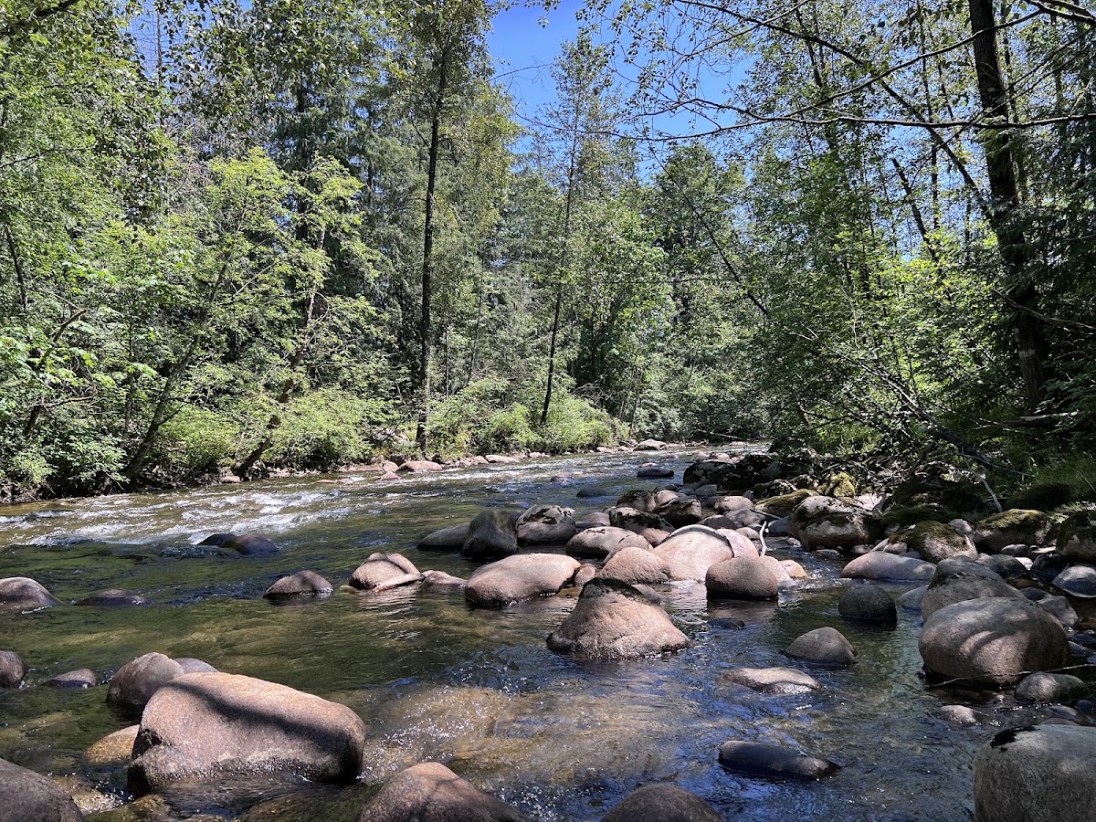 Coquitlam River Park