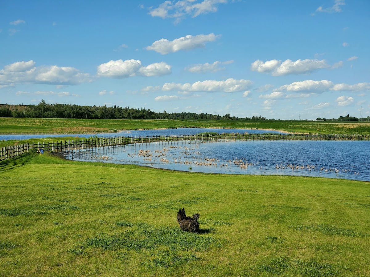 West River's Edge Dog Park