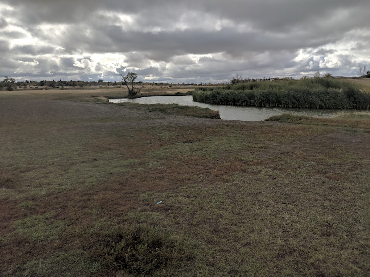 Cathy Lauritsen Memorial Off-Leash Dog Park