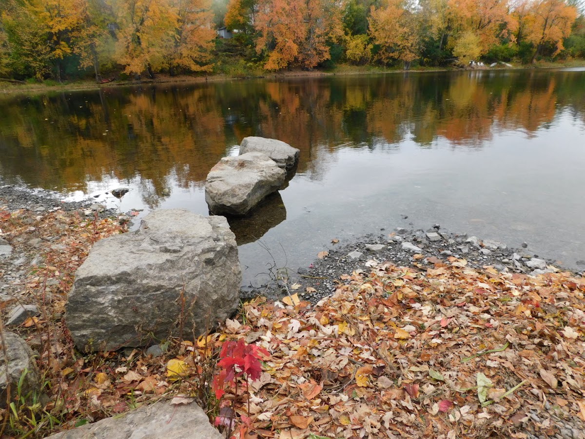 Almonte Beach