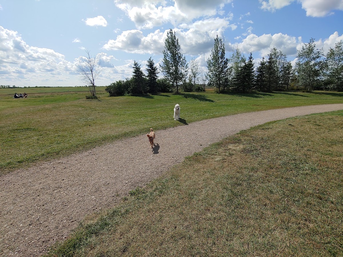 Oxbows Off Leash Dog Park