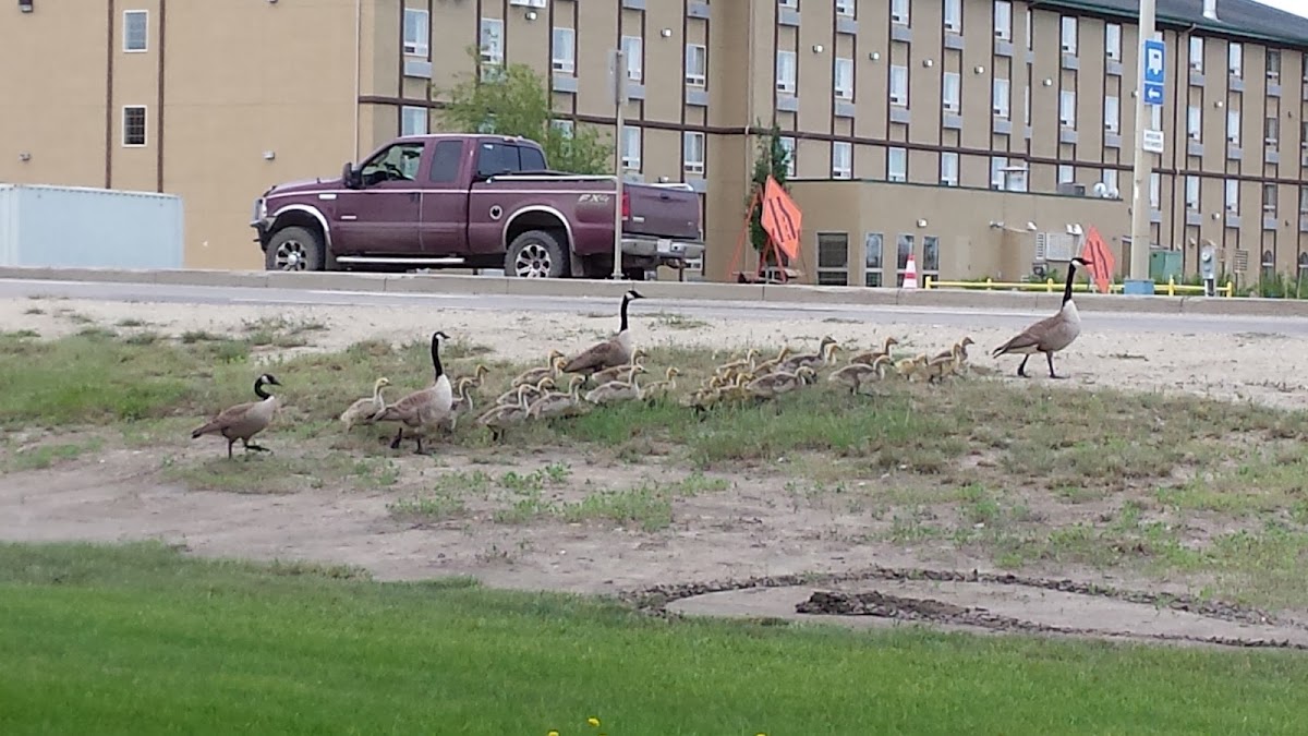 Grande Prairie Rotary Campground