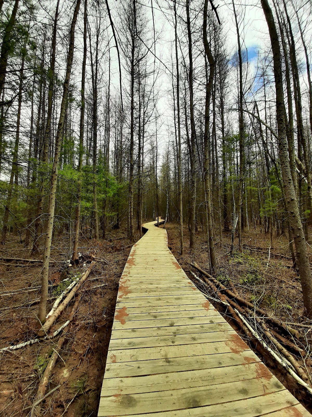 Parc récréotouristique de Saint-Lin-Laurentides