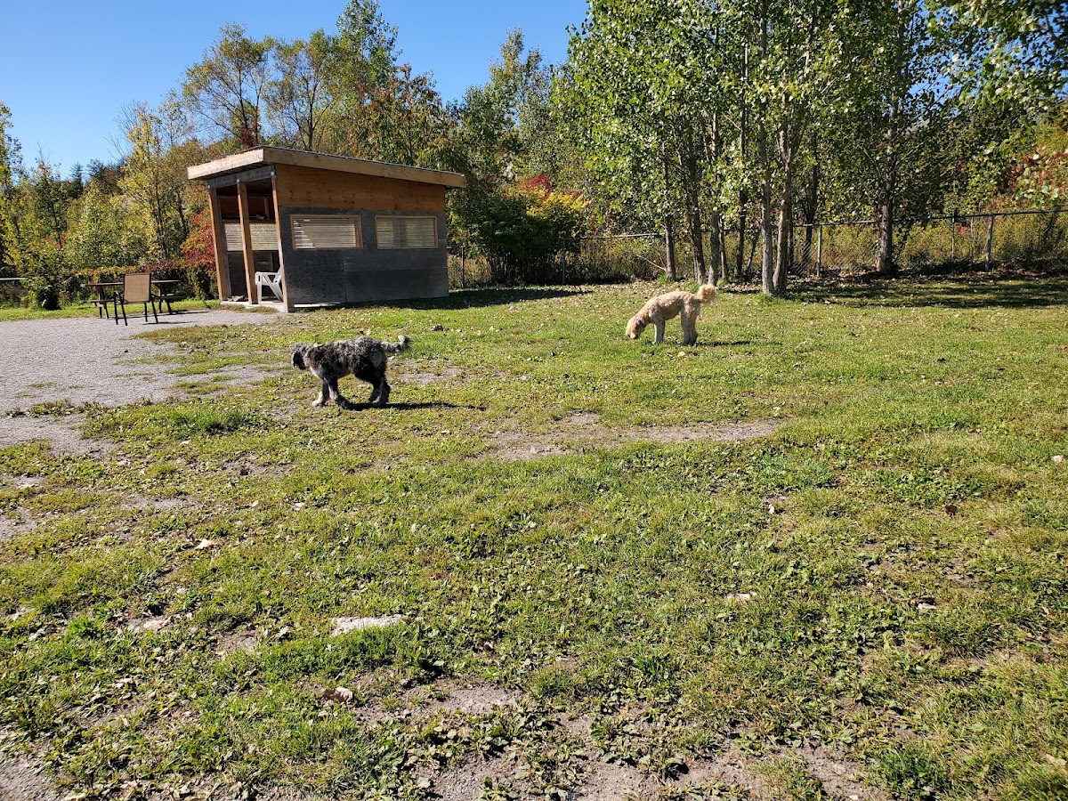 Minnow Lake Dog Park
